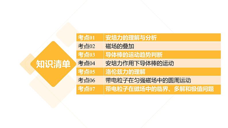 【期中复习】2023-2024学年人教版高二物理下册专题03  安培力与洛伦兹力考点串讲课件02