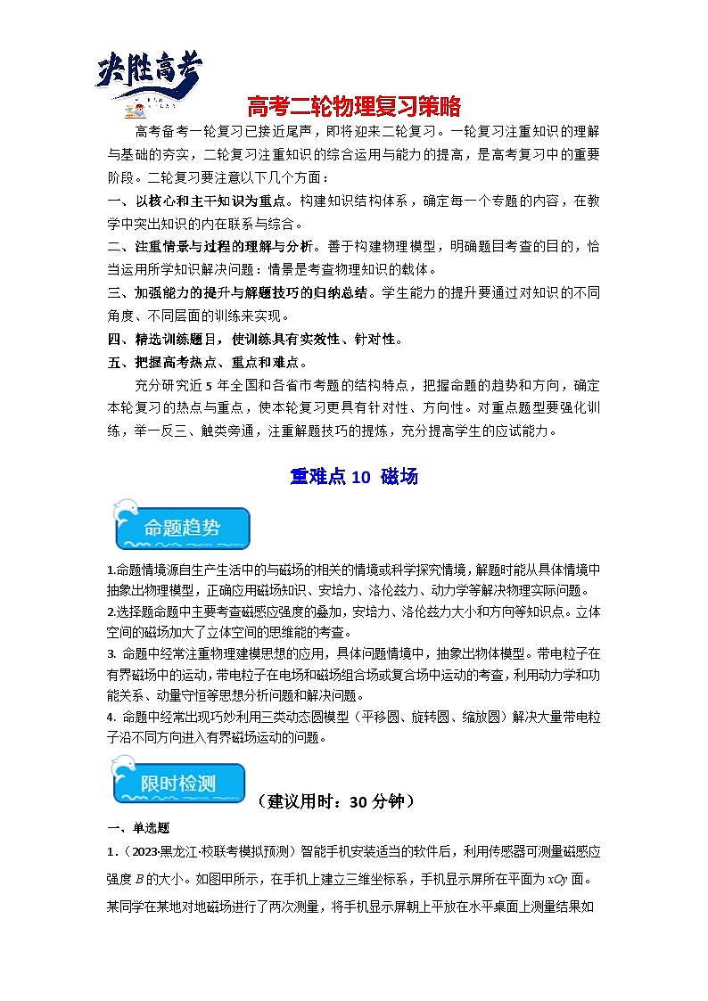 重难点10 磁场-2024年高考物理【热点·重点·难点】专练（新高考专用）01