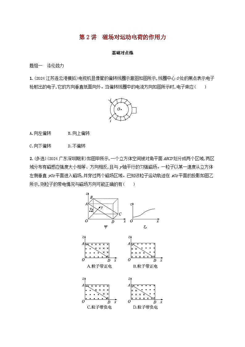2025届高考物理一轮复习第11章磁场第2讲磁场对运动电荷的作用力练习含答案第1页