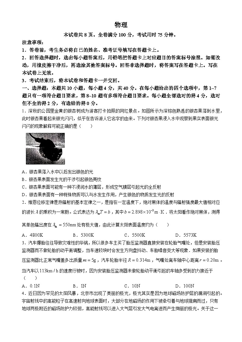 2024届湖北省黄石市第二中学高三下学期三模考试物理试题01