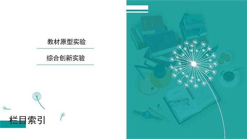 高考物理 专题六　第一讲　力学实验课件PPT第2页