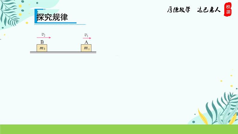 1.3 动量守恒定律 课件1-2023-2024学年高二上学期物理人教版（2019）选择性必修第一册06