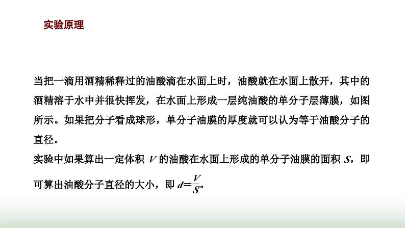 人教版高中物理选择性必修第三册第一章分子动理论第二节实验：用油膜法估测油酸分子的大小课件第2页