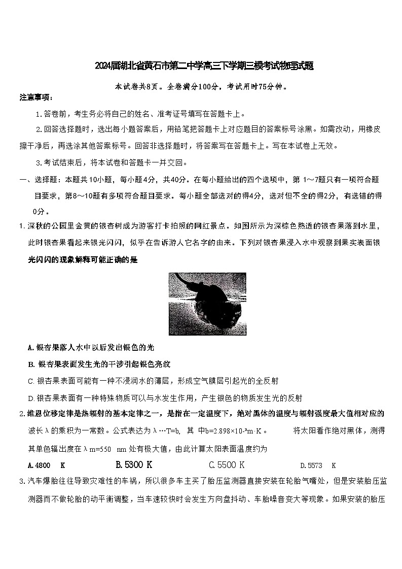 2024届湖北省黄石市第二中学高三下学期三模考试 物理 解析版01
