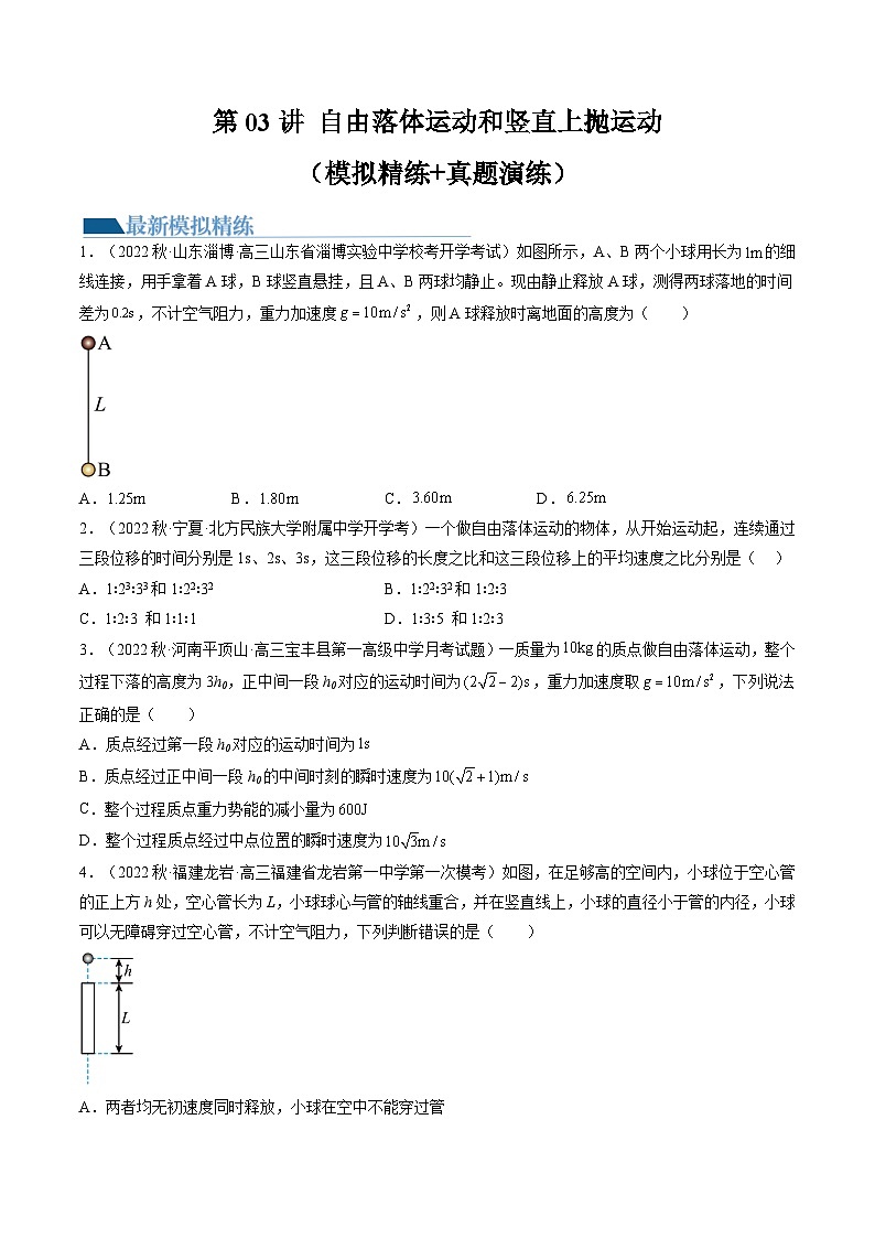 2024年高考物理一轮复习讲练测(新教材新高考)第03讲自由落体运动和竖直上抛运动(练习)(原卷版+解析)01