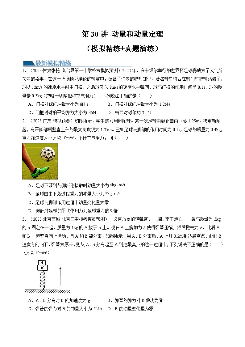 2024年高考物理一轮复习讲练测(新教材新高考)第30讲动量和动量定理(练习)(原卷版+解析)01