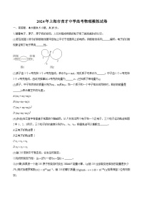 2024年上海市育才中学高考物理模拟试卷(含详细答案解析)