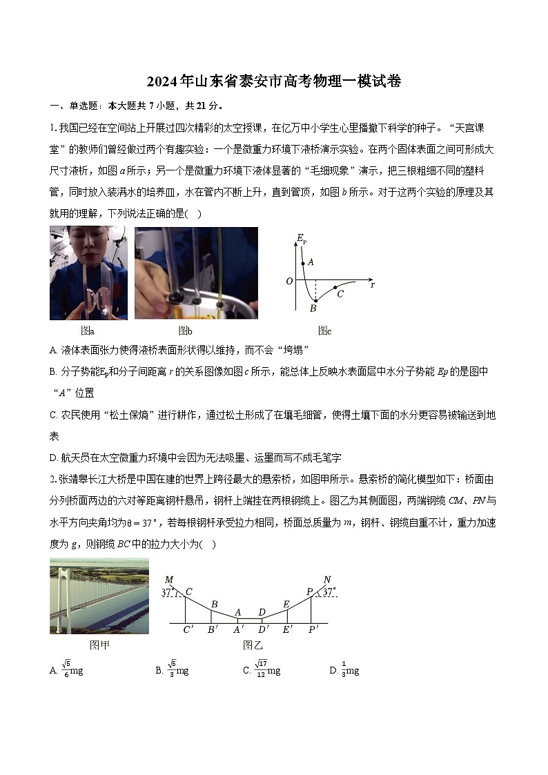 2024年山东省泰安市高考物理一模试卷(含详细答案解析)01