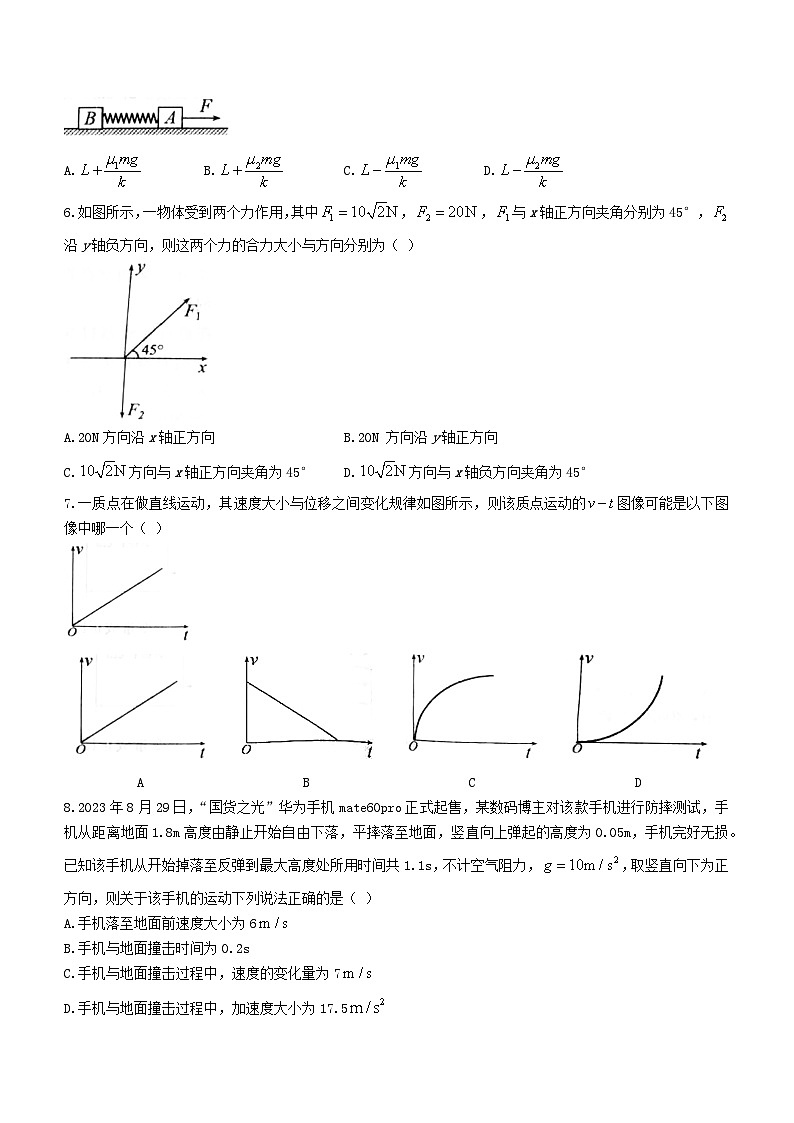 湖北术东南联盟2023_2024学年高一物理上学期期中联考试卷02