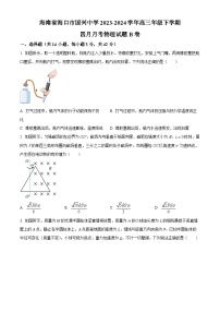 海南省海口市国兴中学2023-2024学年高三下学期4月月考物理试题 B卷（原卷版+解析版）