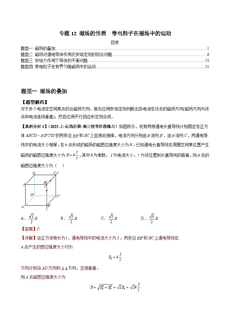 【二轮复习】高考物理专题12 磁场的性质  带电粒子在磁场中的运动（题型专练）（解析版）第1页