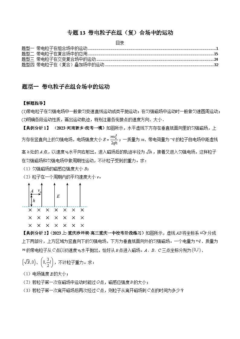 【二轮复习】高考物理专题13 带电粒子在组（题型专练）复合场中的运动.zip01
