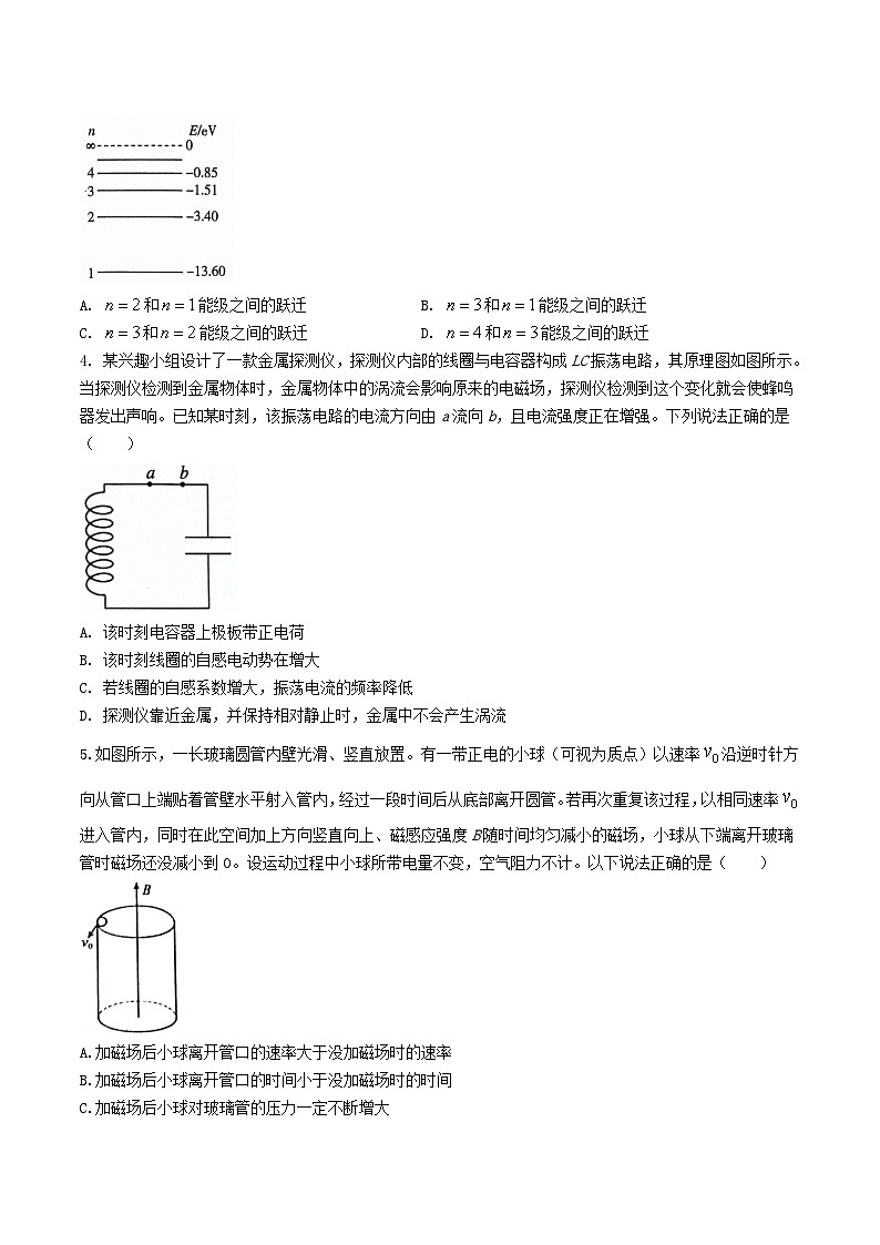 2024届吉林省梅河口市第五中学高三下学期二模考试物理试题（Word版）第2页