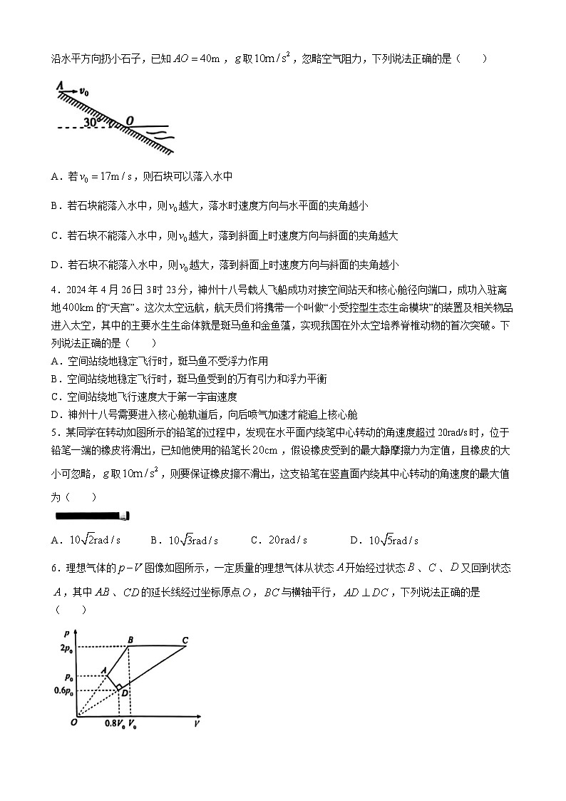 2024湖北省宜荆荆随恩高三下学期二模物理试题含答案第2页