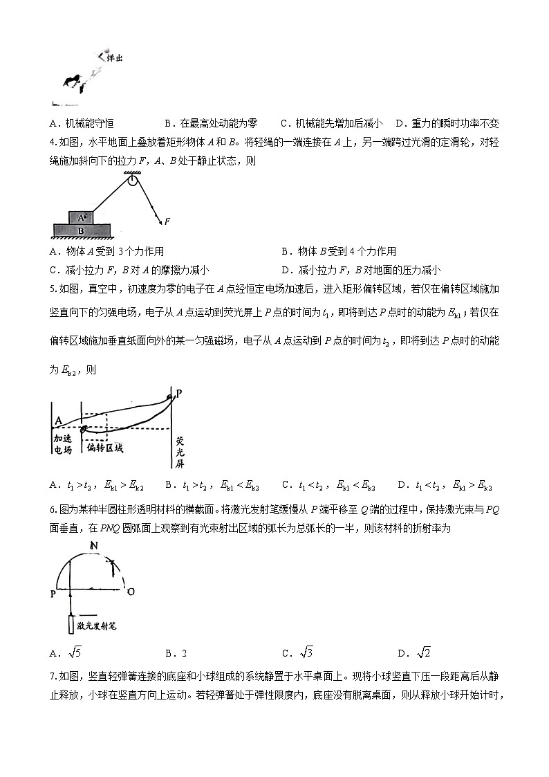 2024毕节高三下学期三模试题物理含答案第2页