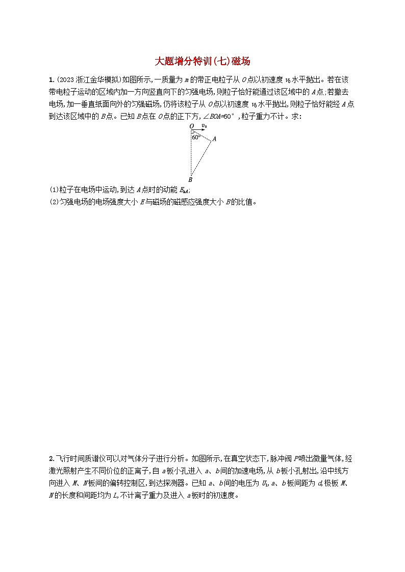 新高考浙江版2025届高考物理一轮总复习训练大题增分特训7磁场(人教版)01
