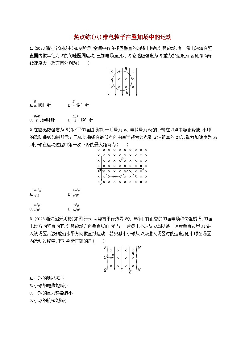 新高考浙江版2025届高考物理一轮总复习训练第10单元磁场热点练8带电粒子在叠加场中的运动(人教版)第1页