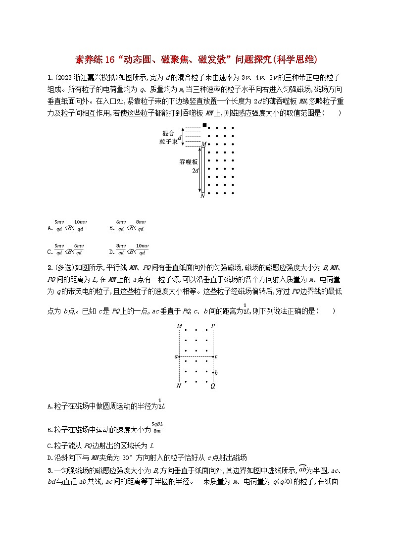 新高考浙江版2025届高考物理一轮总复习训练第10单元16“动态圆磁聚焦磁发散”问题(人教版)01
