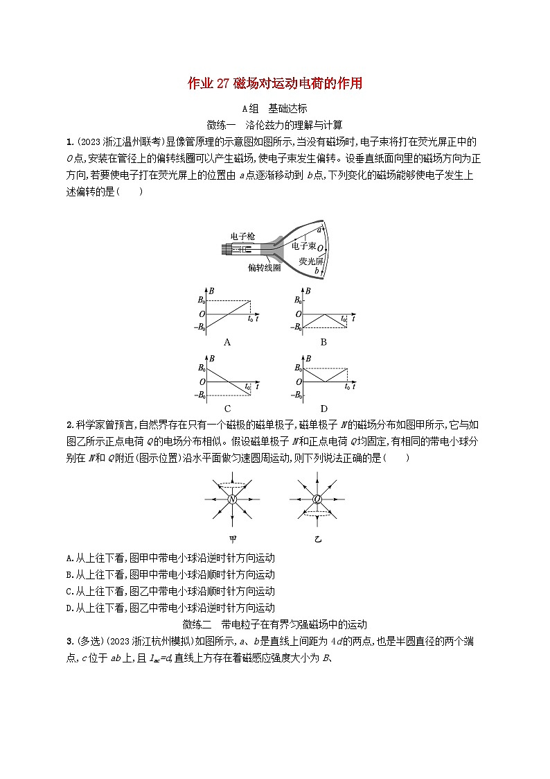 新高考浙江版2025届高考物理一轮总复习训练第10单元磁场作业27磁吃运动电荷的作用(人教版)01