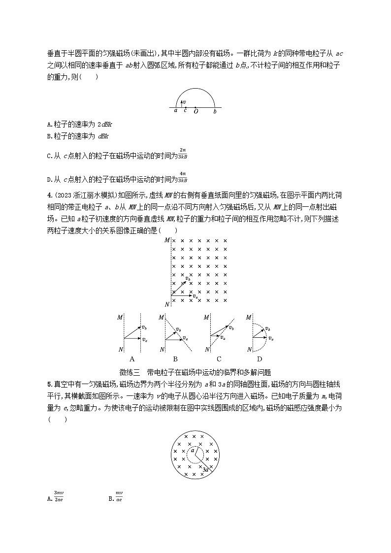 新高考浙江版2025届高考物理一轮总复习训练第10单元磁场作业27磁吃运动电荷的作用(人教版)02