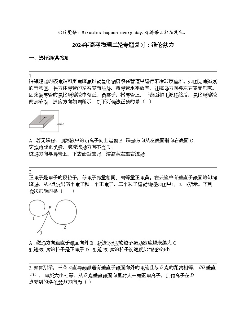 2024年高考物理二轮专题复习：洛伦兹力第1页
