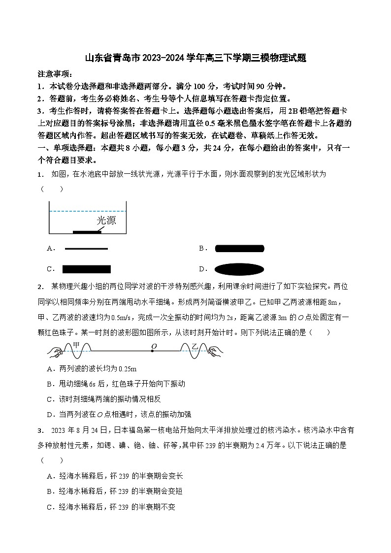 2024届山东省青岛市高三下学期三模物理试题01