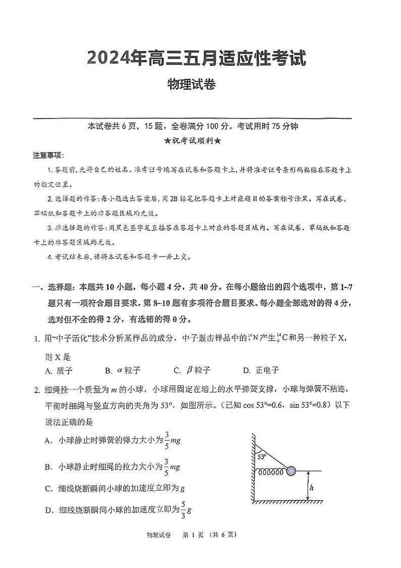 2024届湖北省部分学校高三下学期5月适应性考试（三模）物理试题01