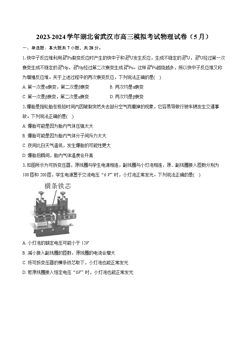2024届湖北省武汉市高三下学期5月模拟考试物理试卷第1页