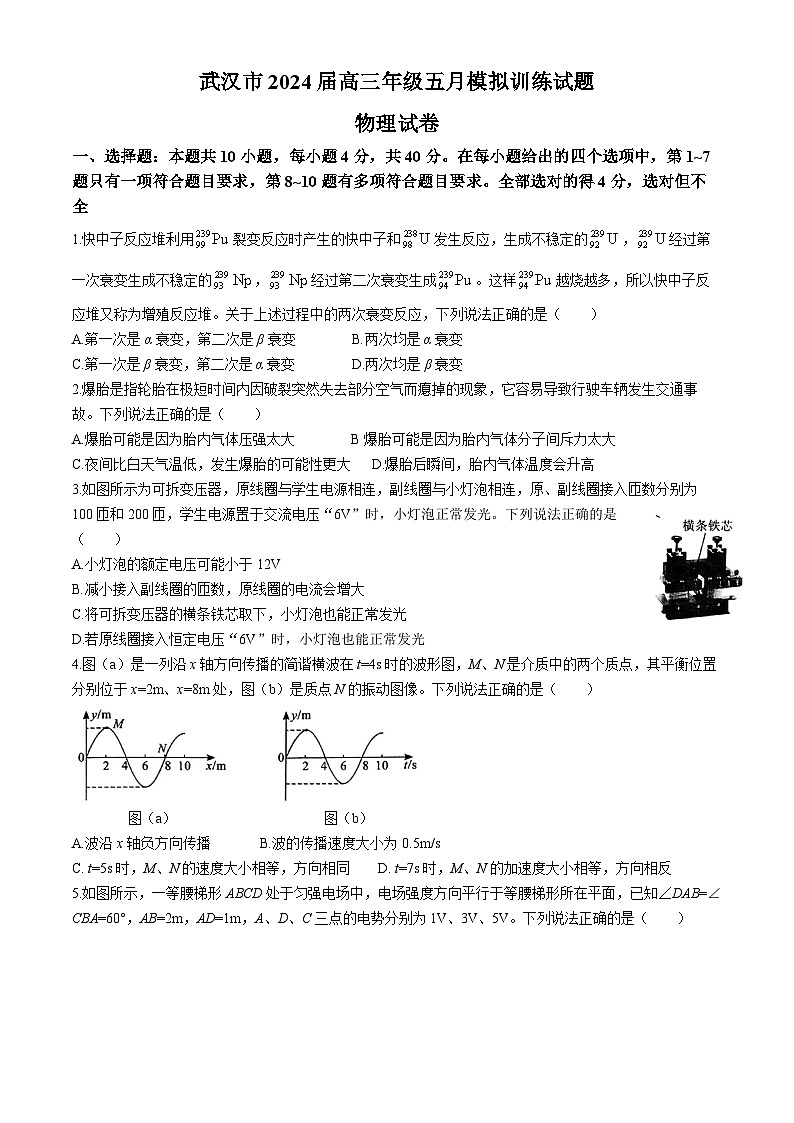 2024届湖北省武汉市高三下学期五月模拟训练物理试题第1页