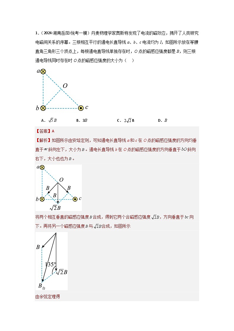 专题09+磁场（解析版）-【典型题型】2024年高考物理二轮复习突破典型题型之选择题18第2页