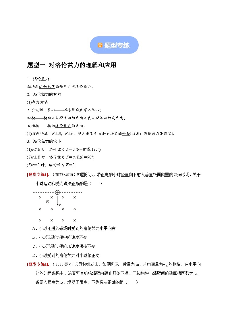 专题20  磁场对运动电荷的作用-【高考二轮】2024年高考物理热点知识清单与题型讲练（全国通用）02