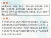 新教材高考物理一轮复习第10章磁场第1节磁场的描述磁场对电流的作用课件