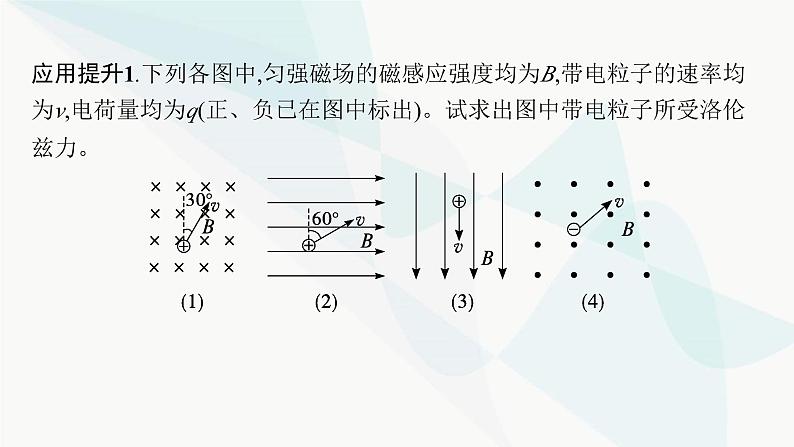 新教材高考物理一轮复习第10章磁场第2节磁场对运动电荷的作用课件06