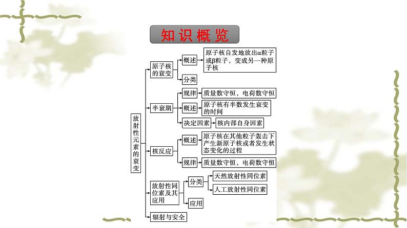 人教版(浙江专用)高中物理选择性必修第三册同步训练第5章原子核2放射性元素的衰变课件第5页