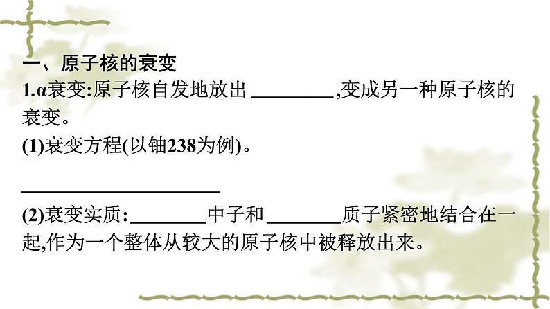 人教版(浙江专用)高中物理选择性必修第三册同步训练第5章原子核2放射性元素的衰变课件第7页