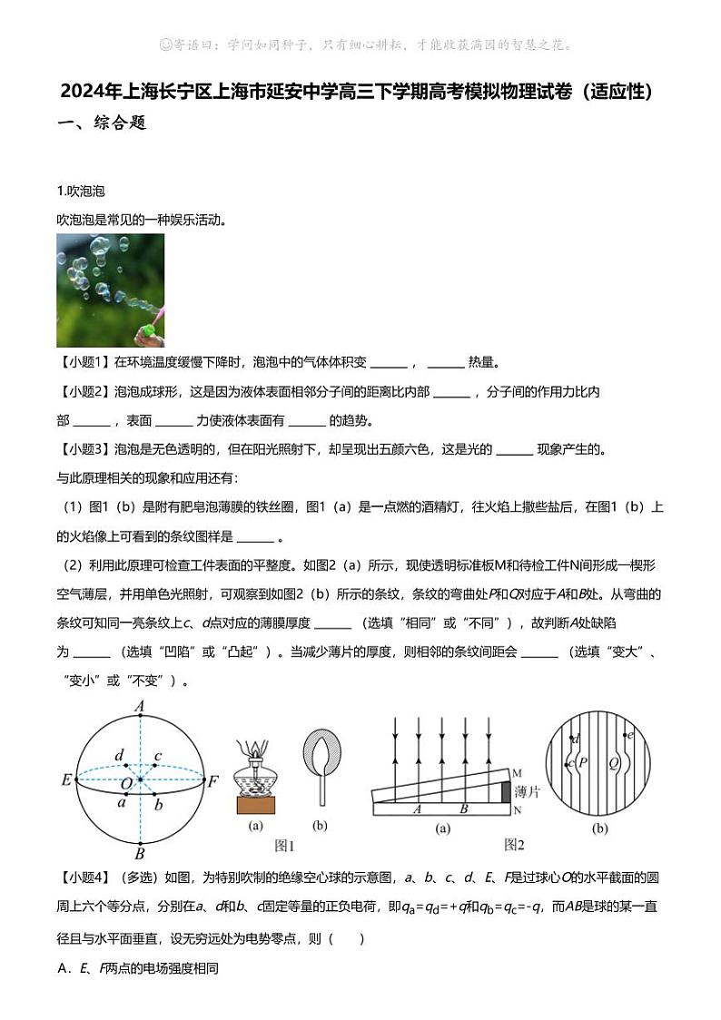 2024年上海长宁区上海市延安中学高三下学期高考模拟物理试卷（适应性）第1页