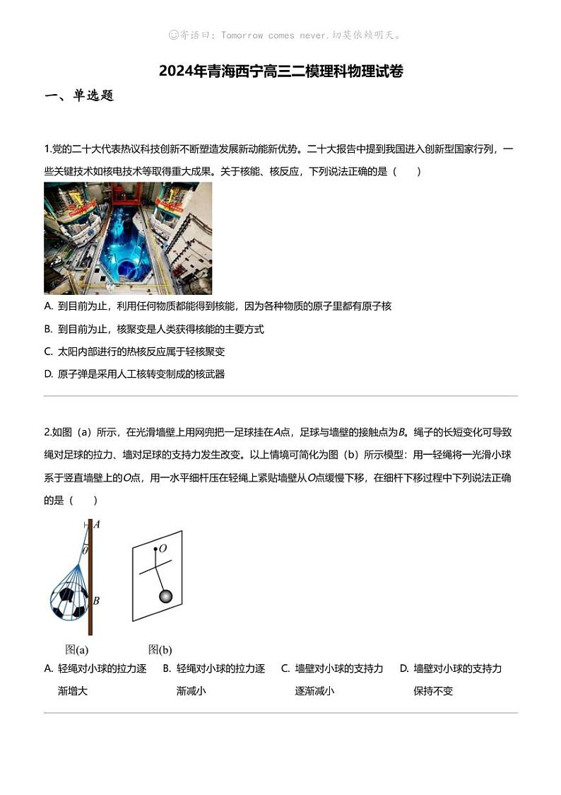 2024年青海西宁高三二模理科物理试卷01