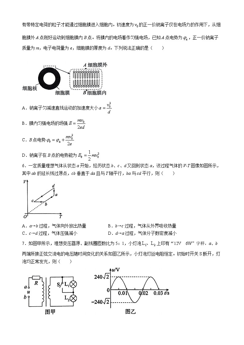 河北省2024届高三下学期高考预测密卷一卷物理试卷（Word版附解析）第2页