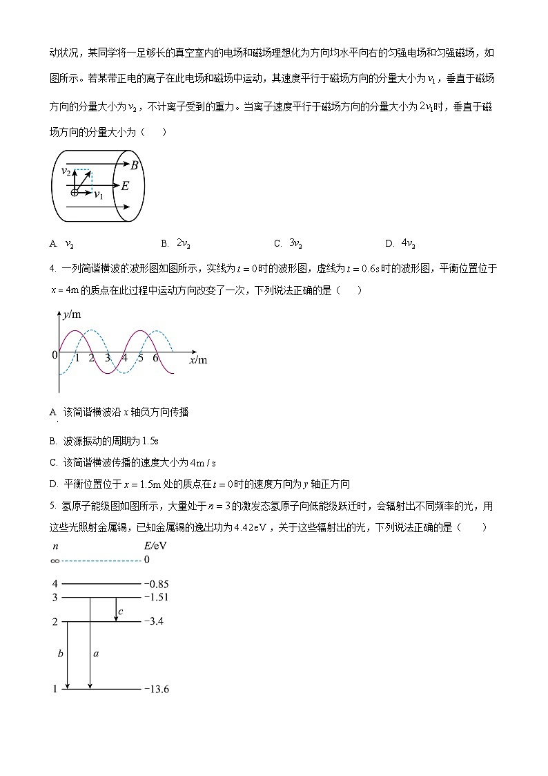2024届江西省部分学校高三下学期6月适应性考试物理试题（学生版+教师版）02
