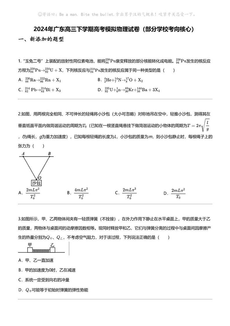 2024年广东高三下学期高考模拟物理试卷（部分学校考向核心）第1页