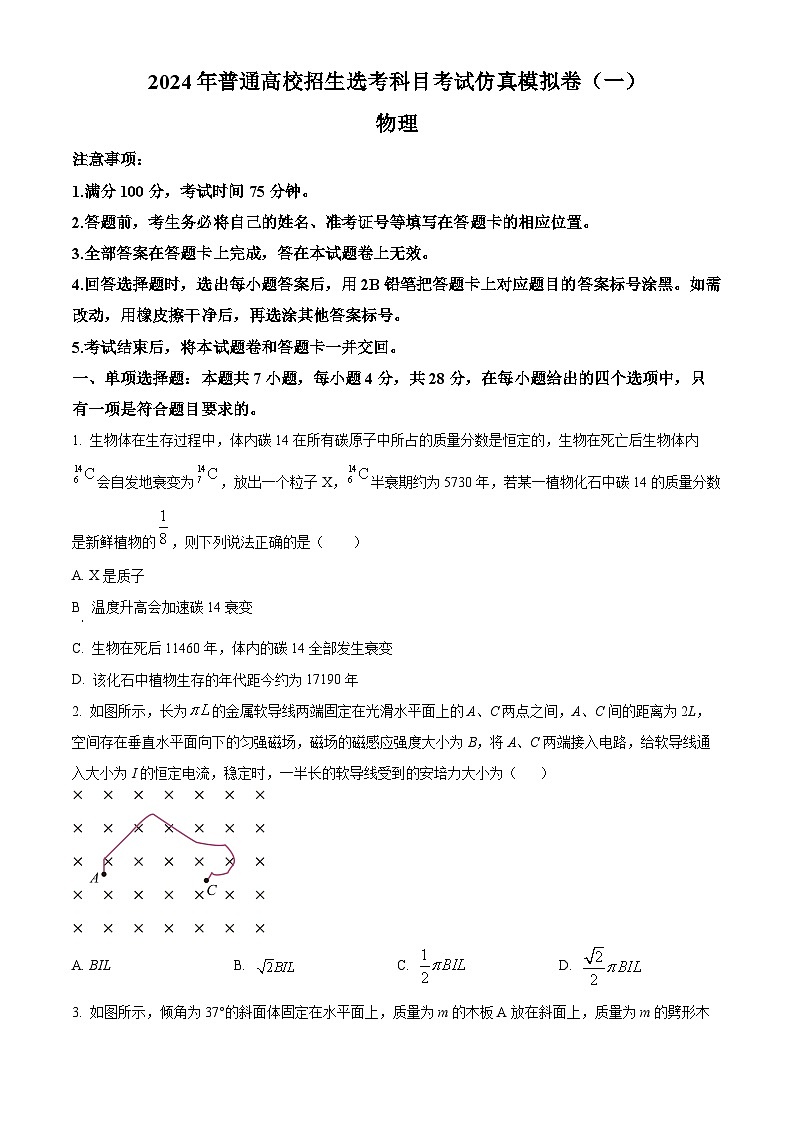 2024届江西省鹰潭贵溪市实验中学高三下学期3月仿真模拟考试物理试卷（学生版）第1页