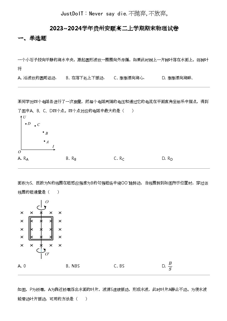 2023_2024学年贵州安顺高二上学期期末物理试卷第1页
