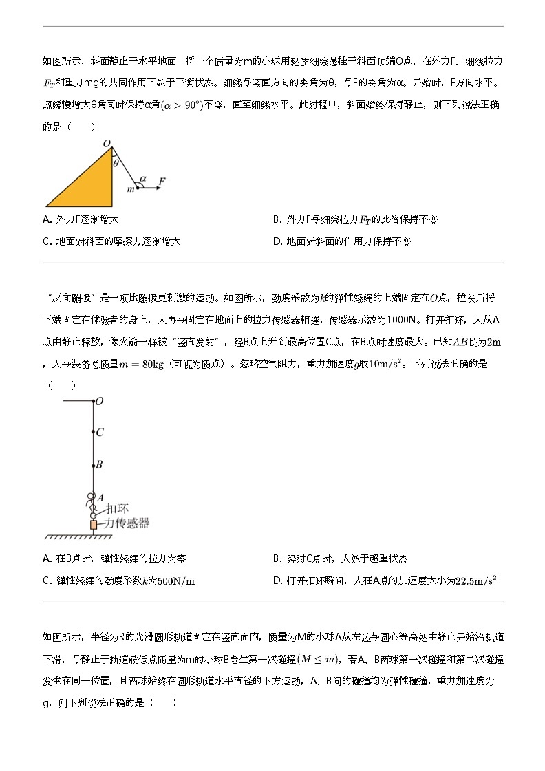 2024年辽宁丹东高三一模物理试卷（总复习）第2页