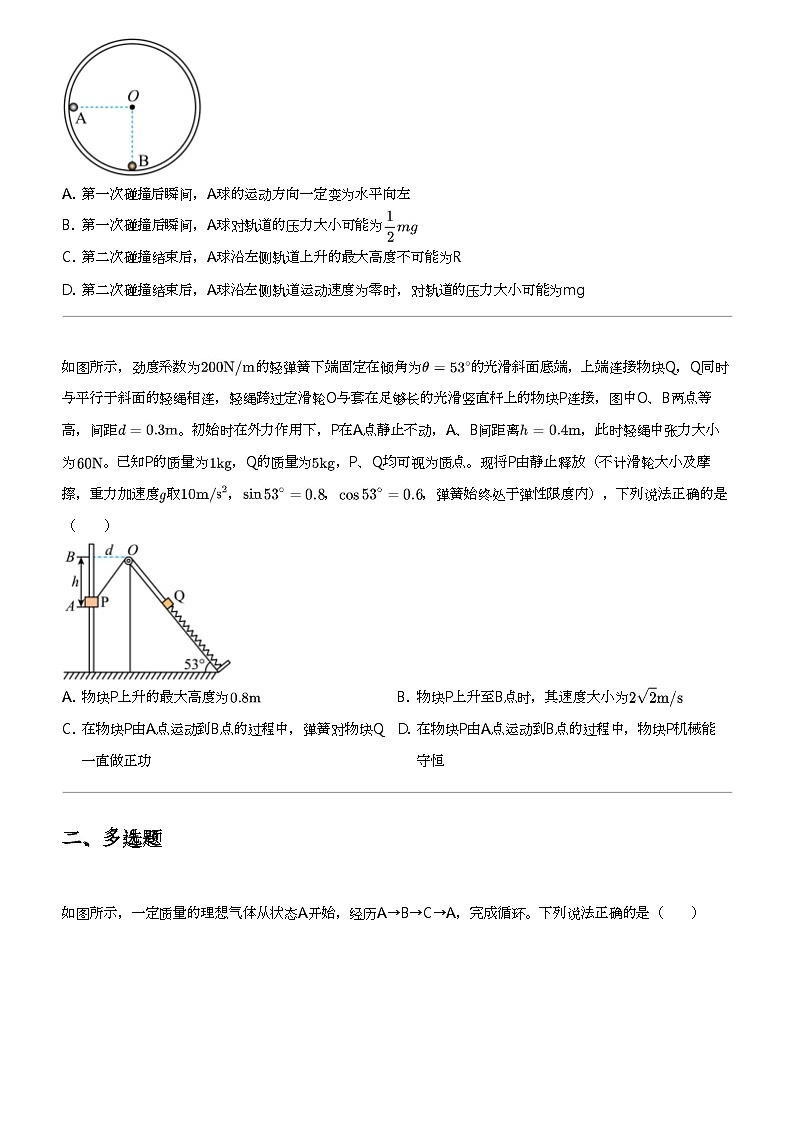 2024年辽宁丹东高三一模物理试卷（总复习）第3页