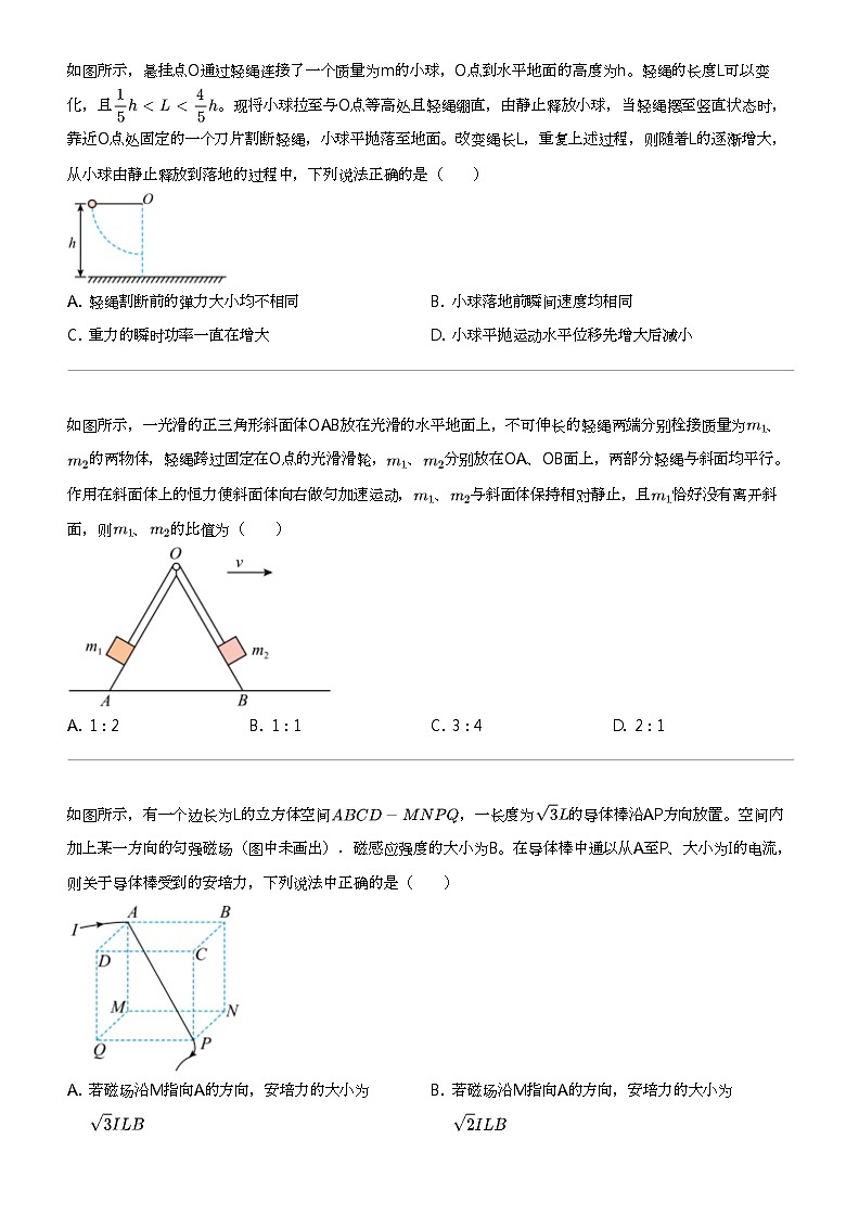 2024年湖北高三二模物理试卷（T8联盟压轴）02