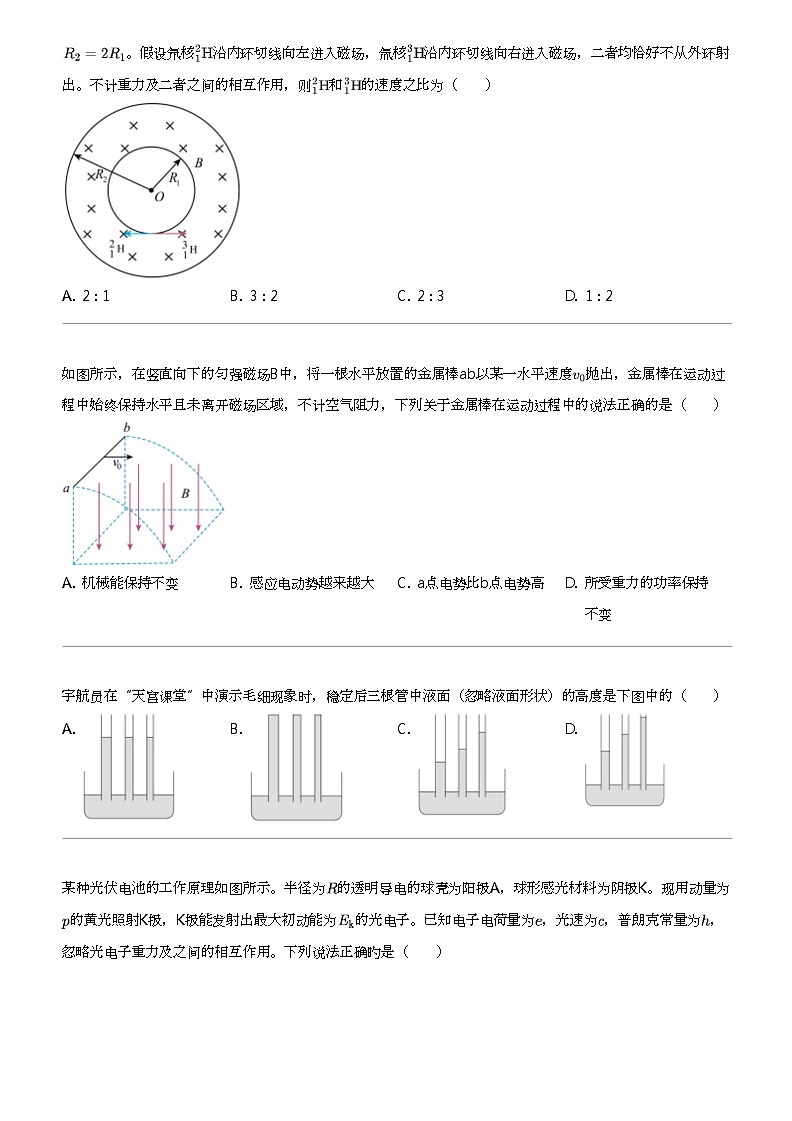 2024年江苏连云港高三三模物理试卷第3页