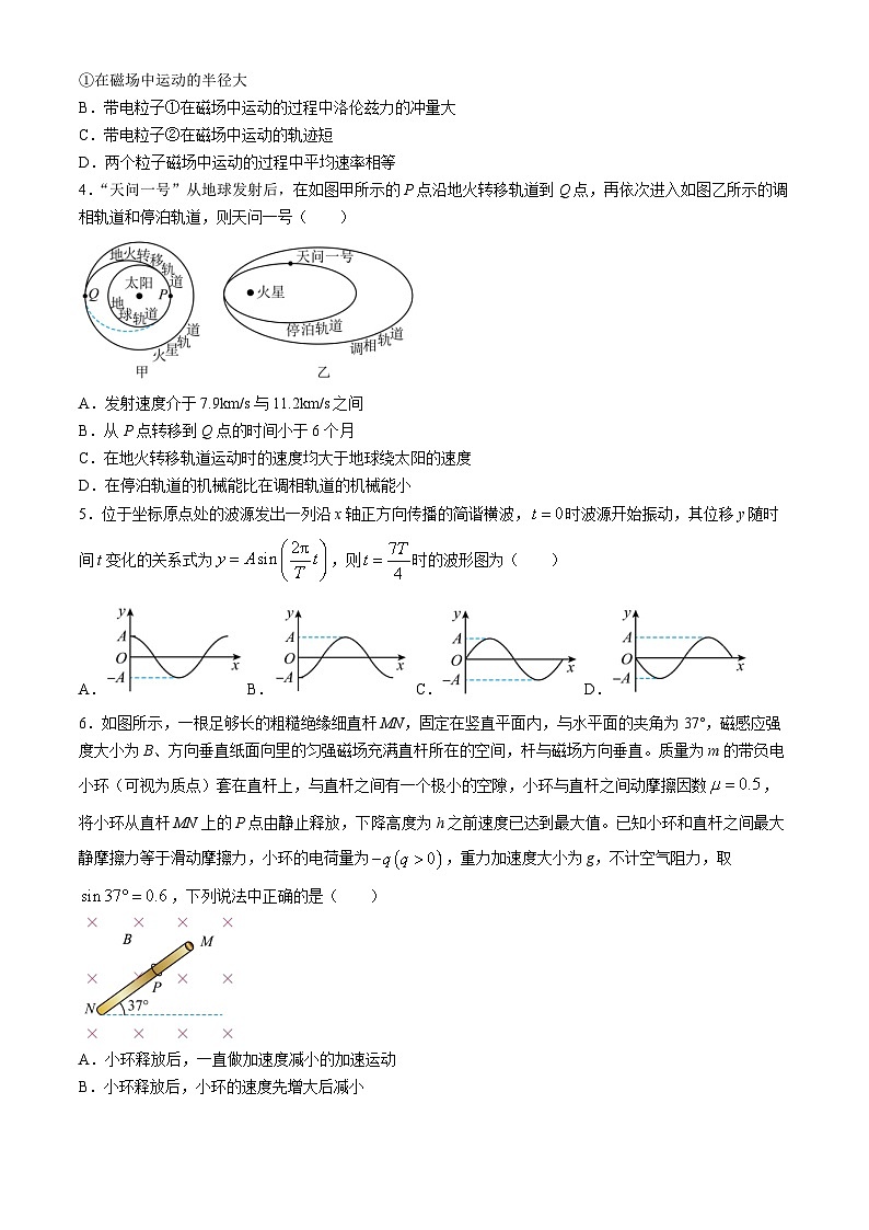 2024届江苏省南京市临江高级中学高三下学期三模物理试题02