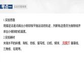2025年高考物理大一轮复习 第四章　第3课时　实验五：探究平抛运动的特点 课件及学案