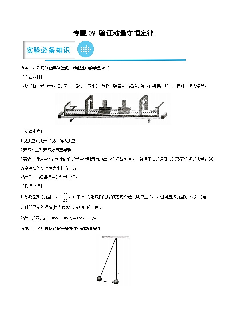 2023年高考物理分题型多维刷题练专题09验证动量守恒定律(原卷版+解析)第1页