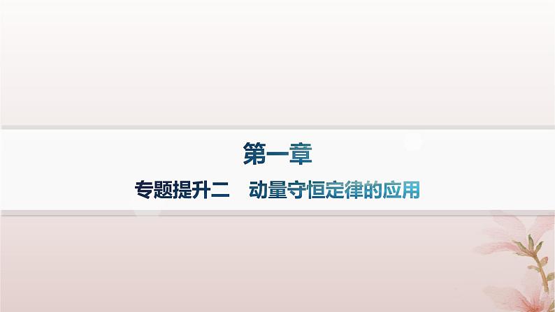 2024_2025学年新教材高中物理第1章动量守恒定律专题提升2动量守恒定律的应用课件新人教版选择性必修第一册01